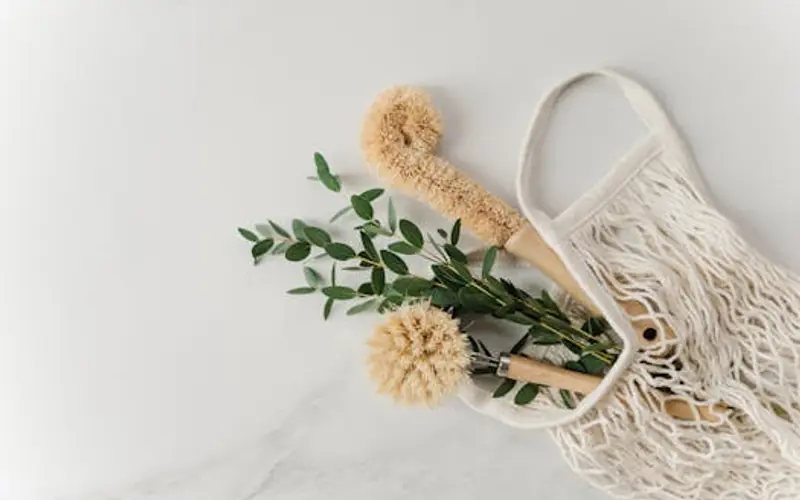 Eco-friendly cleaning products arranged with plants and natural ingredients in a bright Bristol home